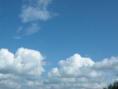 北海道絶景観光の旅　４-２　温根湯温泉〜銀河・流星の滝〜旭山動物園〜美瑛・富良野〜札幌