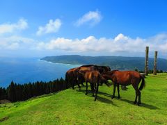 宮崎 青島 都井岬の夏