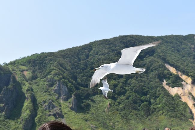 北海道旅行２日目前半編。　<br />今日は青の洞窟クルーズ、小樽寿司屋通りに行ってきました。