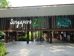 超ハード 7days in Singapore ～(´∇)ノ～　⑦動物満載の一日・・・