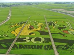 埼玉県行田市ぶらり旅　☆古代蓮の里から見る世界最大のドラゴンクエスト田んぼアートとのぼうの城の忍城☆