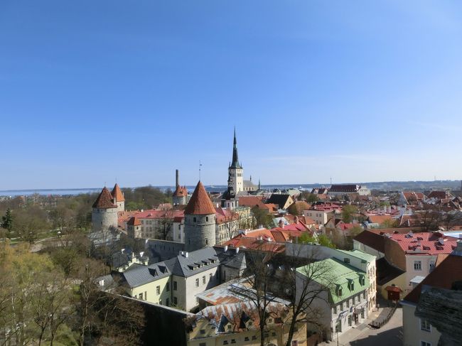 エストニアの首都がタリンです。<br />タリンには11世紀頃からエストニア人の砦が築かれていましたが、13世紀にデンマーク王によって砦は占領されました。<br />13世紀半ばにはハンザ同盟に加盟してロシア貿易の中継点として栄えました。<br />16世紀以降は商業都市としての繁栄は終わり、スウェーデン、ロシアに支配されることになり要塞都市としての性格を強めることになりました。<br />エストニアが独立を回復して20年以上過ぎた今では社会主義時代の面影はなく中世ハンザ都市の賑わいを感じることができます。