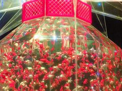 アートアクアリウム 2016-ｃ　「超・花魁」金魚鉢は最大級  ☆非日常的“涼”世界
