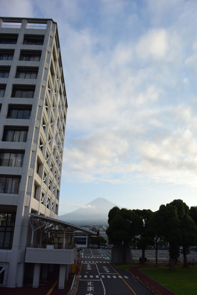 毎朝の早朝散歩をコースを変えて中央公園方面に。<br /><br />この日の散歩は約1.5時間、9,000歩強でした。<br /><br />★富士市役所のHPです。<br />http://www.city.fuji.shizuoka.jp/<br /><br />★ロゼシアターのHPです。<br />http://rose-theatre.jp/