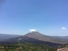 会いに行く人がいるバリ島～⑤ウブドから、観光観光！！