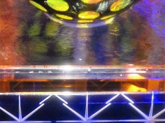 アートアクアリウム 2016-ｅ 　切子工芸の鉢/水槽で　☆プリズム/レンズ仕掛けも