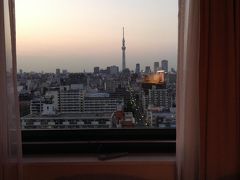 スカイツリーと東京タワーを眺める旅