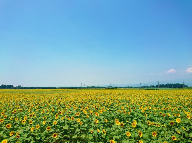 ４月の震災の影響で九州の観光客は減少。<br />復興のためにもっと九州に来てもらおうと、<br />「九州ふっこう割」という制度で観光客を呼び込んでいます。<br /><br />その制度を利用して、九州に住んでいる人間が<br />九州を旅行します。<br />調べて見るとお得な割引がありました。<br />①九州内高速道路３日間乗り放題６５００円<br />②宿泊割引<br />③宿泊者へ飲食３０００円クーポンなどなど<br /><br />日頃は、九州内なら日帰りが多いのですが、<br />せっかくお得な割引があるので、今年の夏は<br />うまいものを食べに、リゾートを味わいに<br />九州をのんびりと旅しよう！<br />