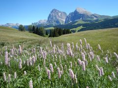 2016 ドロミテ＆チロル 旅行記 【７】 Alpe di Siusi ハイキング