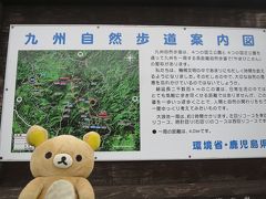 クマ　初鹿児島に上陸　目指せ開聞岳　韓国岳！　　　　は中止　　　　高千穂の峰に変更クマ