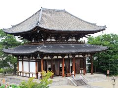 喜光寺へ蓮の観賞へ。それから西大寺の十一面観音立像、秋篠寺の伎芸天立像を拝観