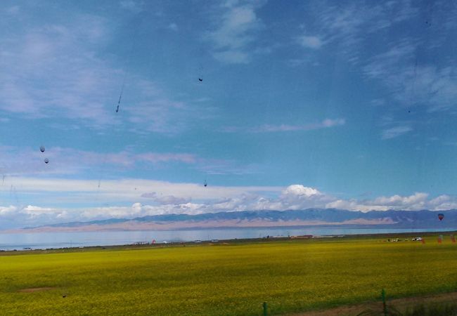 ついに念願の、菜の花の咲く中国最大の塩水湖「青海湖」にやってきました。<br />青海省は、チベット高原と黄土高原が微妙に入り混じるエリア。<br />青海湖の周囲も大草原あり、砂漠ありの不思議な光景が。<br />が、ここは何気に高度が西寧より高い。<br />ちょっと坂道を歩くと心臓が苦しくなりながらも絶景を堪能してきました。<br />今回はの旅行記は■印。<br /><br />　７月２２日　成田発（上海乗換）西寧着　MU-524・2248　空港酒店泊<br />　７月２３日　西寧観光　　神旺大酒店泊<br />■７月２４日　青海湖観光　神旺大酒店泊<br />　７月２５日　午前　西寧発張掖着（動車）Ｄ2705　<br />　　　　　　　午後　張掖市内観光　張掖飯店泊<br />　７月２６日　冰溝丹霞・七彩丹霞観光   深夜　張掖発敦煌着（寝台車）<br />　７月２７日　西路線観光　敦煌飛天大酒店泊　　<br />　７月２８日　鳴沙山・月牙泉観光　敦煌飛天大酒店泊<br />　７月２９日　莫高窟観光/深夜 敦煌発西安着MU-2236空港蜂巣酒店<br />　７月３０日　西安発（上海経由）成田着　MU-521<br /> <br />     
