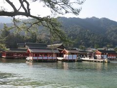 広島(結婚式・平和記念公園・厳島神社)、岩国錦帯橋2/2