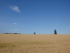 北の大地は雄大だった②【サロマ湖から屈斜路湖へ】