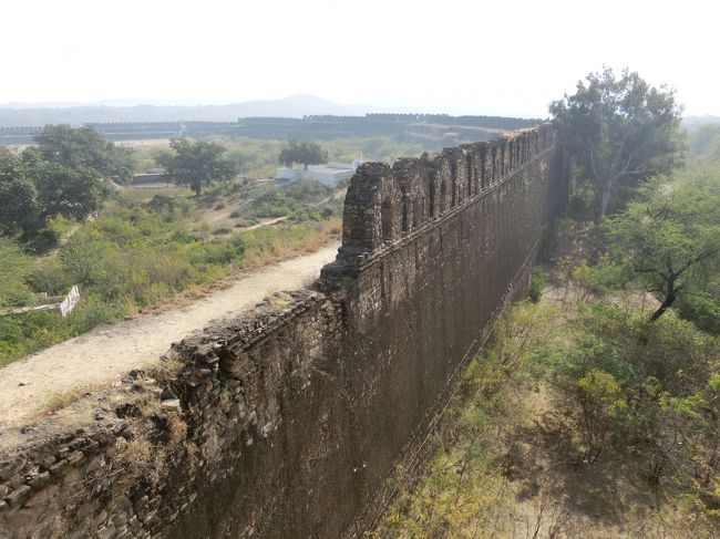 「ロータス・フォート」は「シェール・シャー（スール朝の創始者）」によって「１５４０年」から「１０年」かけて建設された「パシュトゥーン建築とヒンドゥー建築の両様式」が絶妙に融合した「要塞」です。<br /><br />「ロータス・フォート」は「１９９７年」に「ロータス・フォート」として「世界遺産」に登録されています。