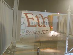 エチオピア航空でブラジルへ