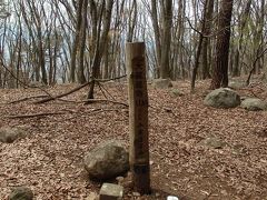 大蔵経寺山登山と観桃花