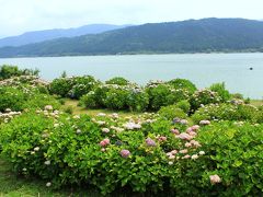 雨の奥琵琶湖へ　つづらおに宿泊～余呉湖アジサイ園の咲きっぷりはまばらだった...