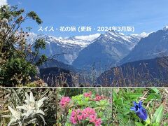 スイス・花の旅 (可憐なアルプスの花々に出会う旅♪ : 2024年, Update版)