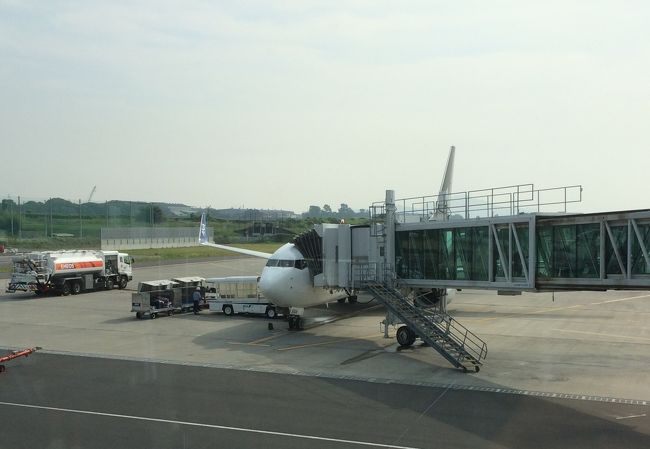 2016年8月に広島に行ってきました。<br /><br />きっかけは、5月上旬にANAのホームページで発表された旅割タイムセール。前月は沖縄・北海道便が対象でしたが、今回は本州・九州地方がメインに設定されていました。<br /><br />セール対象の便のほとんどが、東京発が午後発で使い勝手がよくなかったのですが、唯一、岩国行きが朝一便がセール対象で、9,990円でした。<br />岩国空港は行ったことがなかったので、せっかくの機会なので予約しました。<br /><br />帰りは、セール対象のなかで数少ない東京夜着の伊丹発最<br />終の東京行きを抑えました。<br /><br />広島に大学時代の友人・福山に前会社の同期がいたので、二人に会うことをメインにプランを考えました。<br /><br /><br />ここでは、まず初日、岩国に行くまでの旅行記を掲載します。<br /><br />【行程】<br />羽田空港(6:55)→ANA631便→岩国空港(8:40→8:25)<br />岩国空港(8:50)→いわくにバス→岩国駅(9:02)<br />岩国(9:23)→普通・糸崎行き→宮島口(9:47)<br />広電宮島口(10:02)→広島電鉄・広島駅行き→広電西広島(10:37)<br />広電西広島(10:52)→広島電鉄・宇品二丁目行き→紙屋町西(11:09)<br />本通→広島電鉄・広島港行き→広電本社前<br />広電本社前→広島電鉄→中電前<br />〜原爆ドーム〜<br />原爆ドーム前→広島電鉄→紙屋町東<br />〜お好み村〜<br />紙屋町東→広島電鉄→広島駅<br />広島(14:30)→快速・安芸路ライナー・広行き→広(15:14)<br />広(15:23)→普通・三原行き→三原(16:48)<br />三原(16:59)→普通・岡山行き→福山(17:34)<br /><br />福山と〜ぶホテル(泊)<br /><br />