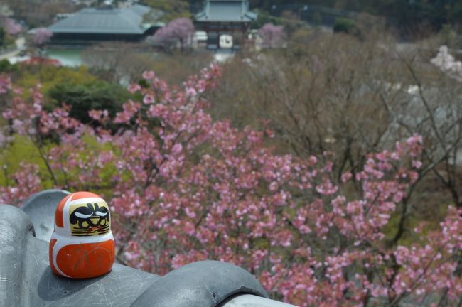 「ヒマだなぁ、どこか行きたいなぁ近場で」と思い、前々から気になっていた勝尾寺に行ってきました。<br />行ってみたら全然近くなかったけど、桜が咲いていて、とてもきれいな所でした。<br />
