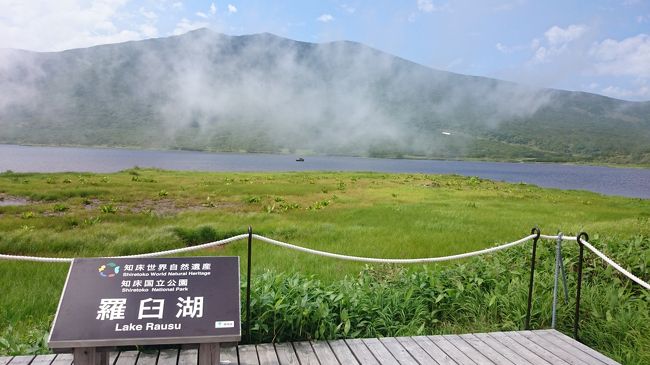 今年の夏の北海道も当然となりますが、大雪山系の登山メインとなりました。<br /><br />前半は台風の影響があったので、上川町方面には向かわず帯広・オンネトー・中標津・羅臼経由で知床(ウトロ）方面に向かい、久し振りとなる羅臼湖トレッキングを楽しみました。<br /><br />台風が去った10日(水）から大雪高原温泉緑岳登山口よりトムラウシ山までの往復登山3泊4日で念願のトムラウシ山への登頂を達成しました。<br /><br />これまでは天候に恵まれず、行程途中で断念してなかなかたどり着けない遠い山でした。<br />今回やっとの思いで登頂できたので、嬉しさが込み上げてきました。<br />トムラウシ山頂では、下山するのが名残惜しく、1時間以上も滞在してました。<br />今年は、念願が叶ったこともあり、とても有意義な日々を過ごせた旅となりました。<br /><br />下山後は、層雲峡で1泊し、旭川・白金温泉・富良野経由で苫小牧東港へ向かいました。<br /><br />5日　大阪市内ー（名神・北陸道）－敦賀IC－敦賀港<br />6日　苫小牧東港ー札幌<br />7日　札幌ー帯広ーオンネトーー中標津ー羅臼ー知床<br />8日　知床ー知床峠ー羅臼湖ー斜里町ー知床<br />9日　知床ー神の子池ー川湯温泉ー北見ー層雲峡<br />10日　層雲峡ー大雪高原温泉ー緑岳登山口ー緑岳ー白雲避難小屋ー高根ヶ原<br />　　　－忠別岳ー忠別避難小屋<br />11日　忠別避難小屋ー五色岳ー化雲岳分岐ーヒサゴ沼分岐ーヒサゴ沼避難小　　　屋ー日本庭園ーロックガーデンー北沼分岐ートムラウシ山ー北沼分岐<br />　　　－ロックガーデンー日本庭園ーヒサゴ沼避難小屋<br />12日　ヒサゴ沼避難小屋ー化雲岳ー五色岳ー忠別岳ー高根ヶ原ー白雲避難小　　　屋<br />13日　白雲避難小屋ー緑岳ー大雪高原温泉ー層雲峡<br />14日　層雲峡ー旭川ー白金温泉ー富良野ー札幌ー苫小牧東港<br />15日　敦賀港ー敦賀IC－(北陸・名神道）－大阪市内着<br /><br /><br /><br />