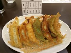 宇都宮でOYA MUSEMUMと餃子を楽しむ旅！