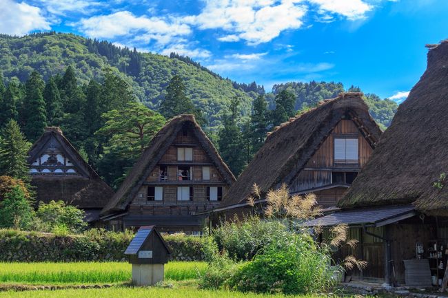 前々からずーっと行ってみたいところの１つに、世界遺産の白川郷合掌造りがありました。<br />いつもの旅行と同じように何回か突発的に行こうとするも、冬の白川郷の敷居は高い・・・・<br /><br />なので、今回いい加減に行ってみようと思って夏の時期に福井県を訪れた翌日に白川郷に訪れてみました。<br />ついでにこれも前から行ってみたかった飛騨高山の古い町並みにも訪れてみました。<br /><br />宜しかったらご覧ください。<br /><br />【関連旅行記】<br />福井編の旅行記　http://4travel.jp/travelogue/11159175