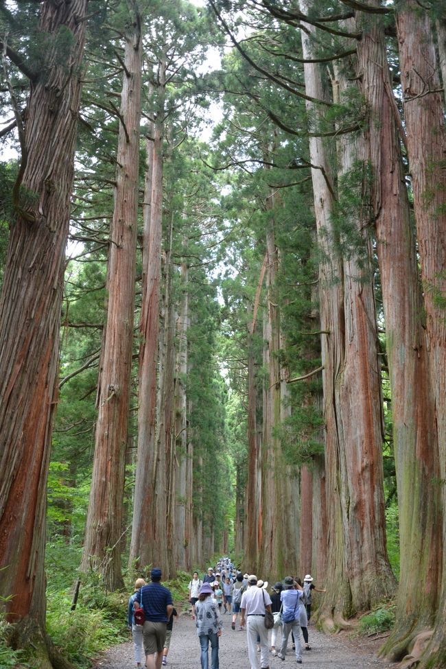 最近2年に一回ほど鬼姉に頼まれ甥っ子を旅行に連れてってあげてます。<br /><br />なので、初の山の日はやっぱり山でしょ!ってことになり、甥っ子2人(小1と小5)と母の4人で長野の戸隠に行ってきました。<br /><br />長野好きな自分ですが、この辺は行った事がなく、行ってみたらすっごく良かったのでまた行きたくなりました。<br /><br /><br />1日目 チビッ子忍者村<br />2日目 戸隠神社奥社・戸隠民族館・戸隠牧場