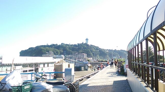 ご覧戴きましてありがとうございます。<br /> 2016年8月6日・8月7日の土日の2日間、青春18きっぷと新幹線を組み合わせて仙台七夕まつりと山形花笠まつりを観覧してきました。<br /> 期間中の主な行程は以下のとおりです。<br />◎8月6日 浜松駅→快速・普通を乗り継ぐ→大宮駅→12時46分発はやぶさ19号を利用→仙台駅→仙台七夕まつり観覧→仙台駅→仙山線で山形市内へ移動→山形花笠まつり観覧→山形市内(泊)<br />◎8月7日 山形駅→奥羽本線の普通列車利用→福島駅→9時16分発つばさ128号東京行きで郡山駅で移動→郡山駅→快速・普通列車を乗り継ぐ→藤沢駅→小田急江ノ島線利用→江ノ島付近散策→小田急江ノ島線→藤沢駅→快速・普通列車で移動→三島駅→新幹線→浜松駅<br /> そのうち前回までで仙台七夕まつりと山形花笠まつりを観覧した時の様子を紹介しました。今回は山形から自宅がある静岡県浜松までの帰りの様子と神奈川県にある江の島付近に1時間程度滞在した時の様子について紹介します。<br />