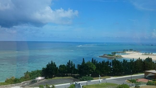 小学生の息子と娘を連れて、初めての沖縄旅行。<br />子どもたちに海のきれいさを見せてあげたい！と計画しました。<br />夏休みというハイシーズンなのに、予算は20万円という格安旅行！<br /><br />2016年夏休み沖縄家族旅行3日目！<br />今日は美ら海水族館へ。大きなジンベエザメに感激。<br />水族館を満喫した後、大きなハンバーガーで腹ごしらえ。<br />おいしかった！！