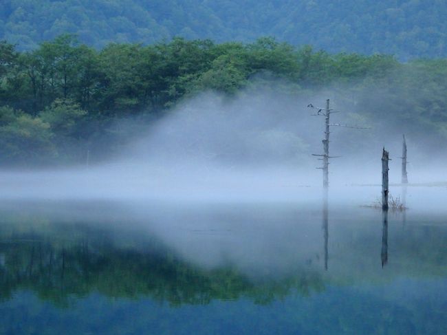 今年の夏旅は久しぶりの上高地へ！<br />上高地に泊まって星を見たい、朝もやの大正池を見たい、行ったことのない平湯温泉や畳平、松本にも行ってみたい～！と行程をあれこれと考えた末、新宿から上高地への直通夜行バス・さわやか信州号で出発して、大正池で下車。<br />見たいと思っていた朝もや漂う大正池を目にして感動した後は、大正池～ウェストン碑～河童橋と自然探究路を歩きました。<br />朝の上高地の風景を楽しんだ後は、一度上高地を離れて、バスで平湯温泉へ向かいます。（翌日、また上高地へ戻ります…）vol.1はここまでの記録。<br />よろしければご覧ください。<br /><br />【旅程】<br />---　vol.1　---　　http://4travel.jp/travelogue/11159610<br />8/12　バスタ新宿発～（さわやか信州号）<br />8/13　～大正池下車　<br />　　　　＜ハイキング（大正池→河童橋）＞<br /><br />---　vol.2　---　　http://4travel.jp/travelogue/11161623　　<br />　　　上高地ＢＴ～平湯温泉ＢＴ～畳平ＢＴ　<br />　　　　＜富士見岳・お花畑＞<br />　　　畳平ＢＴ～平湯温泉ＢＴ　〔平湯温泉・旅荘つゆくさ　泊〕<br /><br />---　vol.3　---    http://4travel.jp/travelogue/11163443<br />8/14　平湯温泉ＢＴ～上高地ＢＴ　<br />　　　　＜ハイキング（河童橋⇔明神池）＞　<br />　　　　＜ガイドツアー・ナイトコース＞　〔上高地・五千尺ロッヂ　泊〕<br /><br />---　vol.4　---    http://4travel.jp/travelogue/11167095<br />8/15　　＜ミニハイク（河童橋⇔田代橋＞<br />　　　上高地ＢＴ～新島々～松本　<br />　　　　＜松本城など散策＞<br />　　　松本～（ＪＲ）～　新宿　<br />