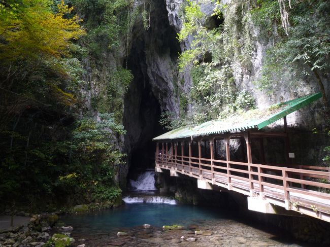 山陰ツーリング最後です。朝から松陰神社に行って、秋芳洞に行って、水曜どうでしょうゆかりの壇ノ浦PA経由で門司港からフェリーで帰ってきました。<br /><br />====================================================================<br /><br />2014.9.21<br /><br />今日は松陰神社でお参り＆松陰先生の歴史館とか行って、そのあと秋芳洞に行きましたよ。秋芳洞、思いのほか良かった。小学生の時に修学旅行で行ったはずだけど全然覚えてないね。ってか、修学旅行なんてもん、大人になってからじゃないとわからないことだらけだね。大人になってからもう一度行くことをおススメします。<br /><br />今日の夜は門司港から神戸までの船旅。これが終われば今回の旅も終了。次はいつかな、どこへ行くかな。日本もだいぶ回ったなー。<br /><br />ではまた次回。