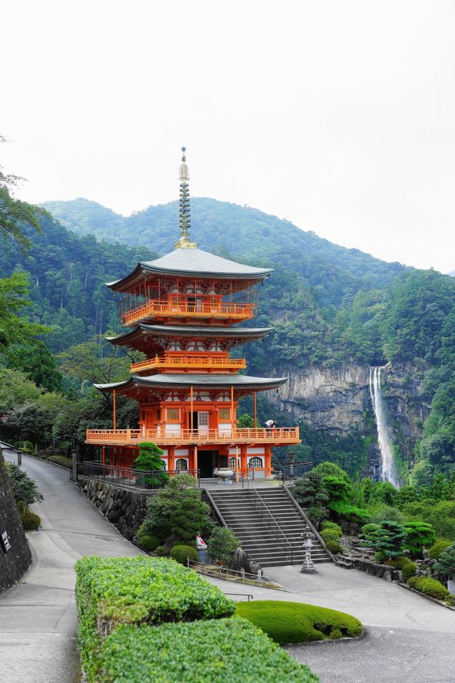 今日は、花火を見に行こうと急遽思い立って、那智勝浦に出かけました。<br /><br />初めての那智勝浦町花火大会です。どんな様子なのでしょうか？人出は？混雑具合は？<br />あまり深く調べもせずに出発しました。<br /><br />盆休みに入っています。阪和道は、やはり下津あたりのトンネルで渋滞が発生しています。<br />そのあたりは下道で行くことにしました。途中、湯浅に立ち寄ります。<br />それは、「味の屋醸造　丸新」さんに立ち寄るためです。湯浅駅前店にお邪魔しました。<br />ここの「すだちぽん酢醤油」を愛用しています。すごくおいしいですよ。他にも醤油などを仕入れました。<br /><br />丸新さんは、丸新本家さんが有名で、大きなお店を国道沿いに出されていますが、自分は湯浅駅前の味の屋醸造 丸新さんの方がお気に入りです。<br /><br />そこから、どんどん南下しました。<br />８月１１日（山の日）　潮岬⇒橋杭岩⇒荒船海岸⇒那智勝浦<br /><br />８月１２日　　　　　　鬼ヶ城⇒獅子岩⇒花の窟⇒道の駅「パーク七里御浜」⇒丸山千枚田⇒熊野三山<br /><br />本当はいつものように日帰りの予定で出かけたのですが、結構運転がツライ！そこで泊まることに・・・、でも宿はどこも満員！当たり前ですよね。そこで、三重側の宿を探すとありました。かなり走りますが、何とか寝れることに、一安心！<br /><br />旅行記は、２つに分けました。よろしければお付き合いください。<br /><br />前編　　http://4travel.jp/travelogue/11159593<br />