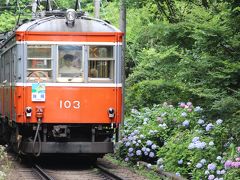 箱根登山鉄道の『あじさい電車』を訪ねて