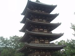 興福寺「阿修羅立像」をじっくり拝観することができました。