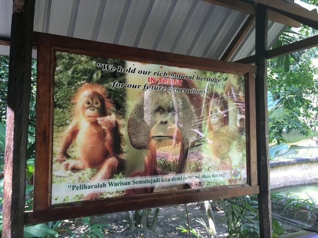 コタキナバル2日目は動物園と市内観光の現地ツアーに参加しました。<br />暑い国での移動はツアーがとても楽でした。