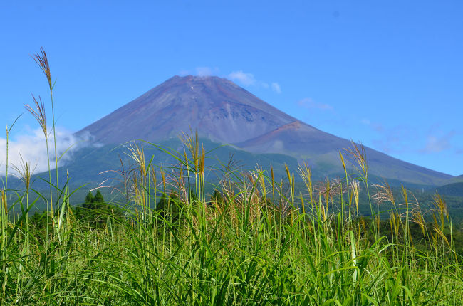 富士山が綺麗に見えたので、暑いし少し富士山の方へ登って涼んで来ようと思います。<br />十里木高原や富士山すそのパノラマロードに行って来ました。<br /><br />★裾野市役所のHPです。<br />http://www.city.susono.shizuoka.jp/<br /><br />★ヘルシーパーク裾野のHPです。<br />http://www.susono-shinkou.jp/#id1