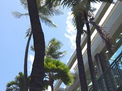 2016夏  ハワイ…何度でも。