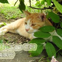 ●今度は母娘で台湾旅！～①出発の1日目&猫村行っていっぱい食べての2日目●