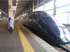 楽しい乗り物に乗ろう！　　JR東日本「現美新幹線」　　～新潟～