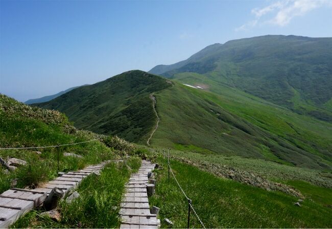 山歩く東北の夏休み1泊 2日目　花見登山総集編！花いっぱいの月山へ