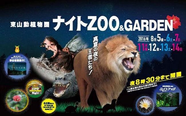 ここ10年ぐらいの間に全国の動物園でナイトズーが盛んに行われるようになってきました。これはやはりシンガポール動物園の影響と思われます。 ところが、なんと95年前の名古屋でナイトズーが行われていました。名古屋市立鶴舞公園付属動物園開園2年目の大正8年の夏に夜間開園が開催されていたのでした。7月から8月までの1か月間で10,280人の入園者があったという記録があります。 これが日本初のナイトズーと思いきや、名古屋より6年前の大正２年に京都市動物園、大正5年に天王寺動物園で行われていました。日本で最初の動物園である上野動物園は昭和6年の春が初めてでしたが、昭和8年の夜間開園では一日で75,474人の入園者を記録していました。<br />今年も大阪市天王寺動物園、大阪みさき公園、浜松動物園、いしかわ動物園等、このほかでも色々な場所で行われました。<br />夜の動植物園をお楽しみいただける夏の大人気企画「ナイトZOO＆GARDEN」を今年も開催！ 動物園では、夏の夜にライトアップされた園内では、昼間とは違った雰囲気で動物の様子がご覧になれます。 植物園でも、温室後館をライトアップするなど、幻想的な雰囲気になります。またスーパーハワイアンナイトも開催され、ハワイの文化に触れる東海地方最大級の華やかな空間が誕生します。 <br /><br />■開催日時<br />平成28年8月5日（金）～7日（日）・11日（木）～14日（日）の7日間　20時まで入園時間を延長（閉園は20時30分）<br />■開催区域<br />動物園区域【本園（こども動物園を除く）・北園・自然動物館・世界のメダカ館】<br />植物園区域【洋風庭園エリア（植物園門からガーデンテラス東山まで）