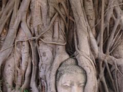 念願の初タイへ☆7 幸せな記憶　アユタヤ遺跡群　