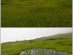 梅雨明けの東北旅　山形編