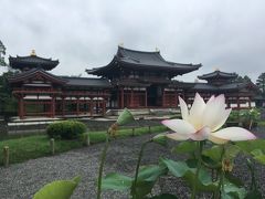 京都 / 宇治 平等院のあのミュージアムを見たくて