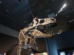 国立科学博物館で恐竜を！