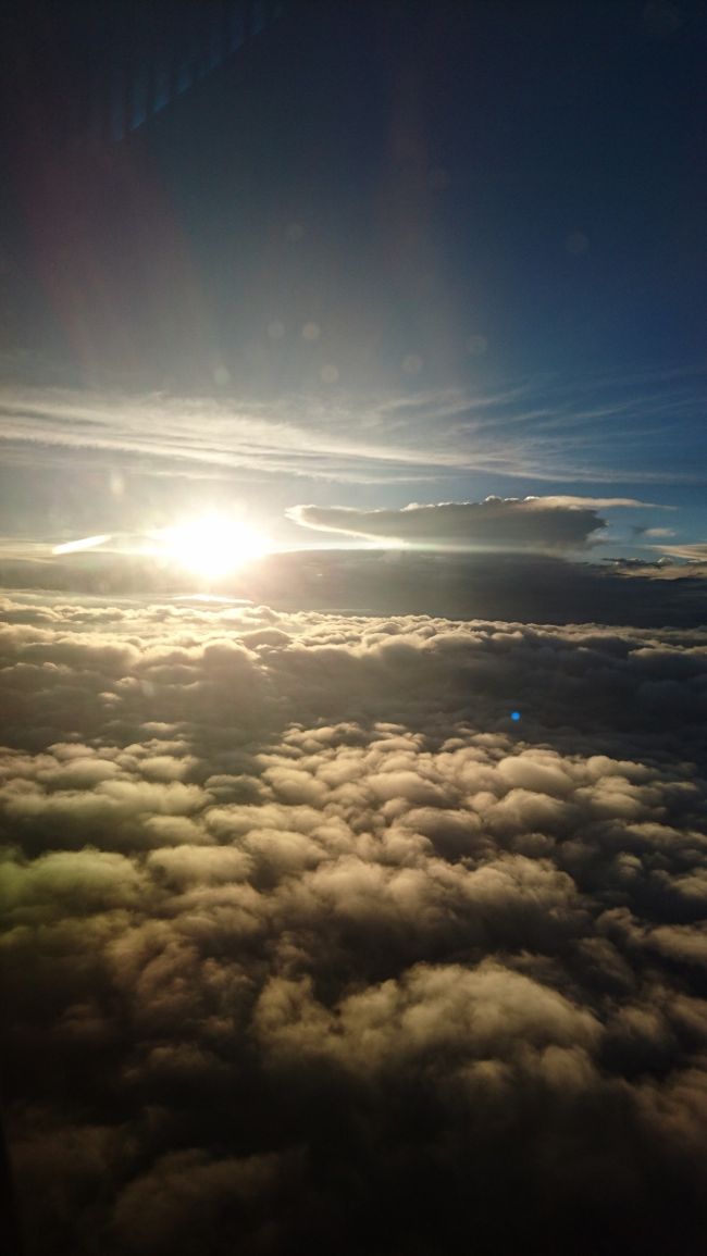 モンゴルの帰り、富士山は見えませんでしたが、雲の芸術を堪能しました。成田空港で乗り継ぎ時間にラウンジでじっとしているのも退屈してきたのでぶらぶら。すぐ近くに散髪屋さんがありました。国内線のターミナル２には無いとのことで、明日からの仕事に備えて髪を切ってもらい、旅行中いつも伸ばし放題にしている髭を剃りさっぱりしました。待ち時間にこれは便利！！！往きもなぜかビジネスクラスでしたが、帰りは流石にビジネスではありませんでしたが座席番号１５Ｋは前から５列目。ビジネスのすぐ後ろ。窓３つが覗ける広々シートでした。ラッキー(^_-)-☆<br />下界は台風の影響でゲリラ豪雨が降り大変だったようですが、雲の上は美しい陽光と雲の饗宴が美しかったです。<br />久しぶりの伊丹着陸。アルプス上空、御在所岳、生駒、東大阪、近畿自動車道を見ながら北上、淀川を越えると、運よく狙い通り右下に、いつも下から飛行コースを眺めているあの懐かしい景色を見ることができました。ＪＡＬで伊丹に着くと北ターミナル。出口を出るとすぐに５５１蓬莱があると思っていたら、あれは南ターミナル。ＡＮＡ便利用時。しかたなく、暑い大阪で南の端まで歩く気力なく、そじ坊で山葵蕎麦。大阪に帰ってきました。チベット仏教を訪ね歩いた今年の夏の旅行も終わり。明日から猛暑の中で仕事仕事、頑張りましょう！！(^_-)-☆