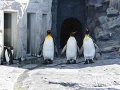 2016年　夏本番はやっぱり北海道でしょう！～旭山動物園、ルスツ～