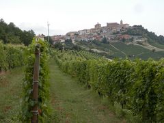 2016JUL⑥イタリア・トリノでカフェトリノへ・世界遺産でもあるランゲの丘にある赤ワインの名産地バローロやラモーラでワイナリーへ行って来ました。